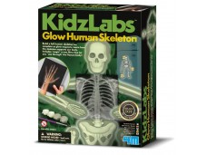 4M Kidzlabs Human Science Menselijk skelet